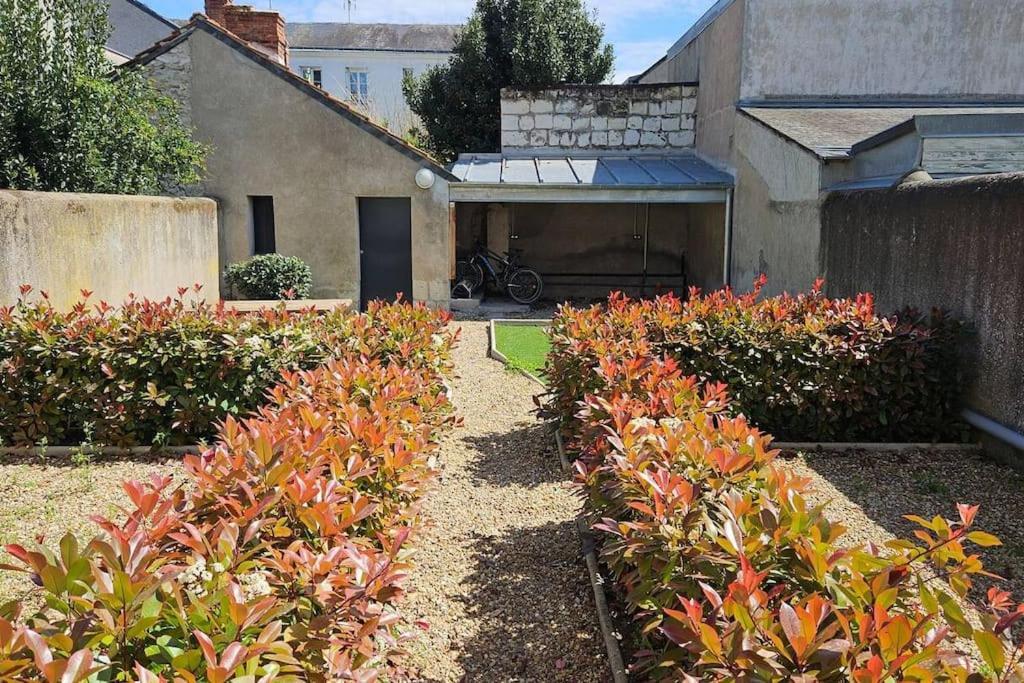 Lakanal 10 - Appart Prebendes Tours Exterior photo